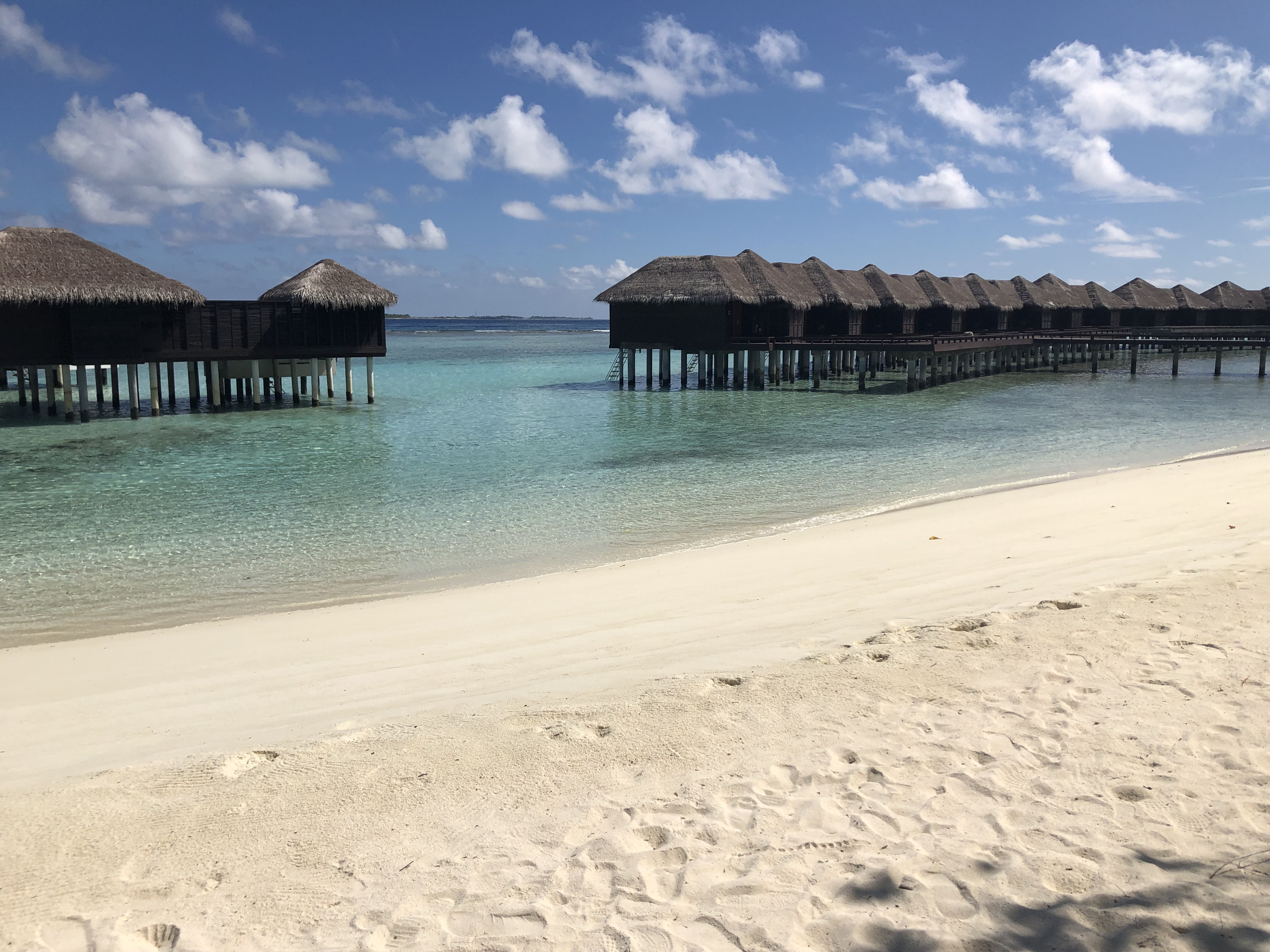 Maldives – One Week on a (Diving) Liveaboard